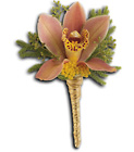Sunset Orchid Boutonniere from Olney's Flowers of Rome in Rome, NY